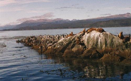 Inland sea in Patagonia